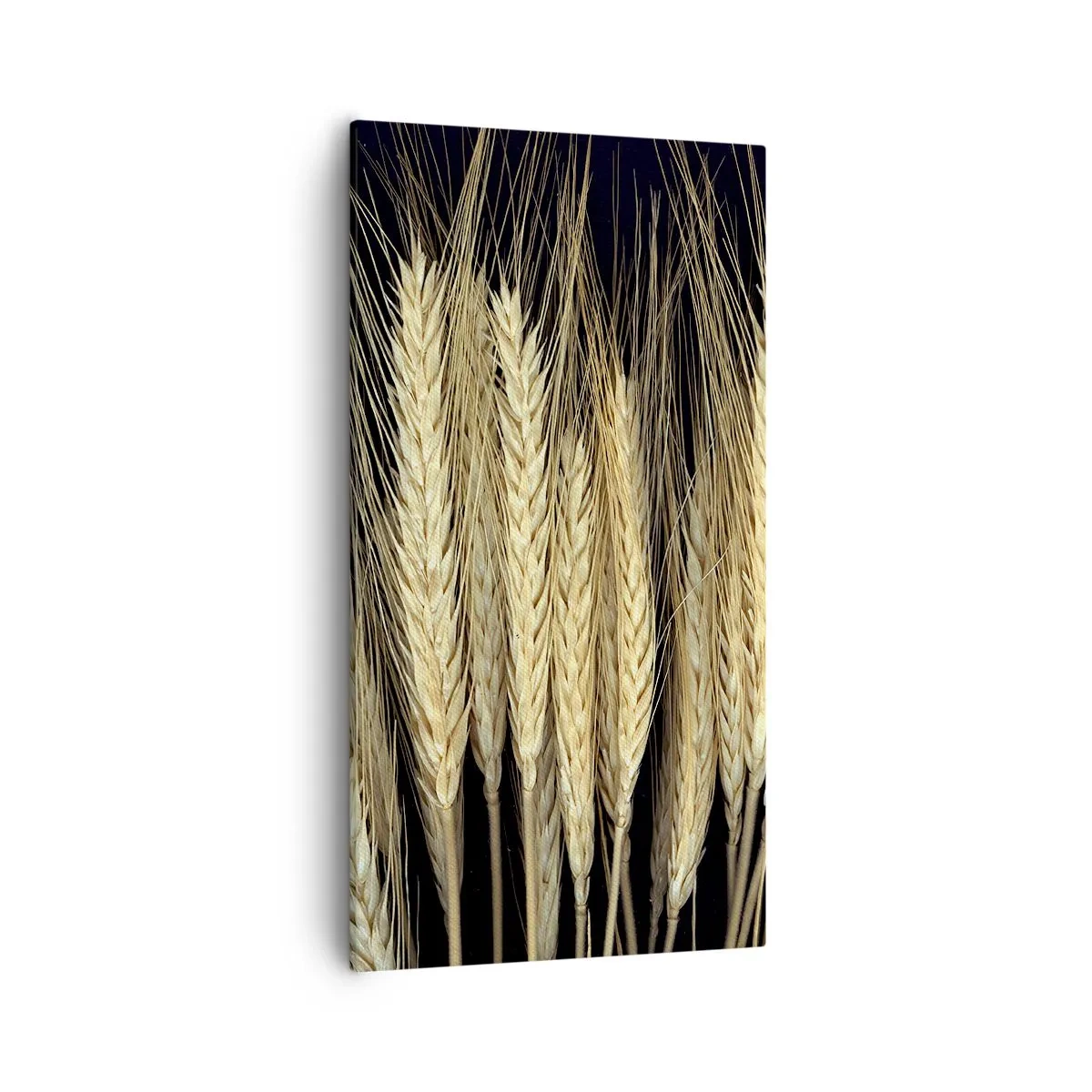 Impression sur toile - Image sur toile - Magie rustique - 55x100 cm