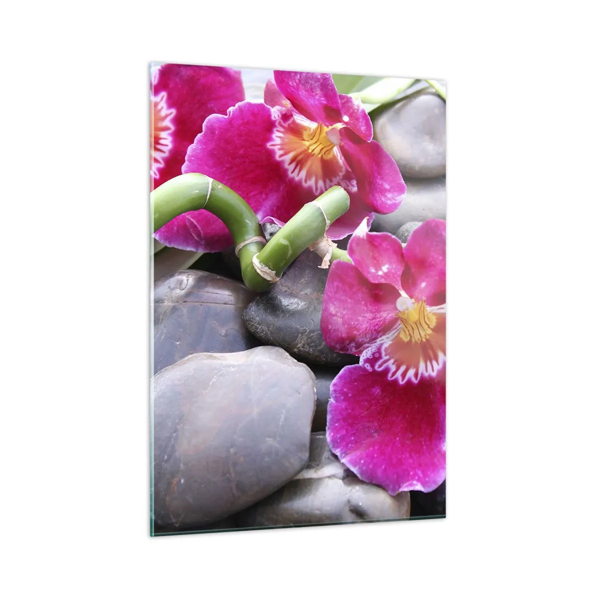 Impression sur verre - Image sur verre - Orchidées roses avec bambou sur pierres - 50x70cm - Refroidir et chauffer - Décoration murale moderne pour le salon et la chambre ARTTOR