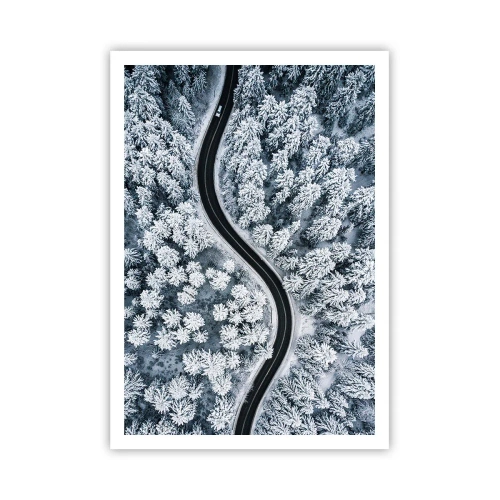 Affiche - Poster - À travers une forêt d'hiver - 70x100 cm