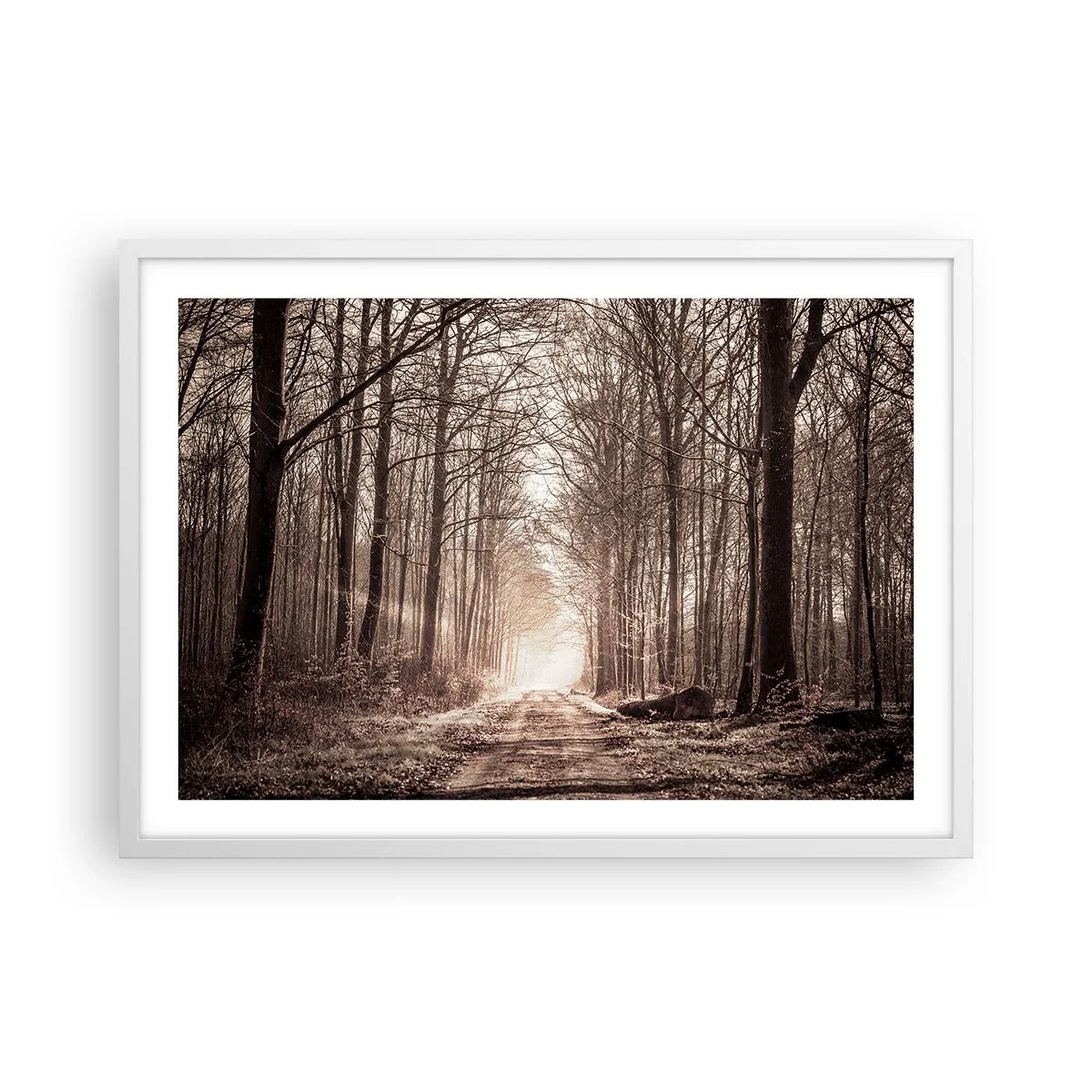 Affiche dans un cadre blanc - Poster - Cathédrale de la forêt - 70x50 cm