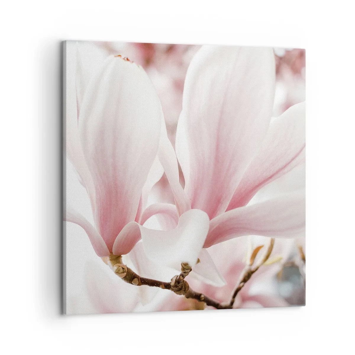 Impression sur toile - Image sur toile - Abondance de tendresse - 50x50 cm