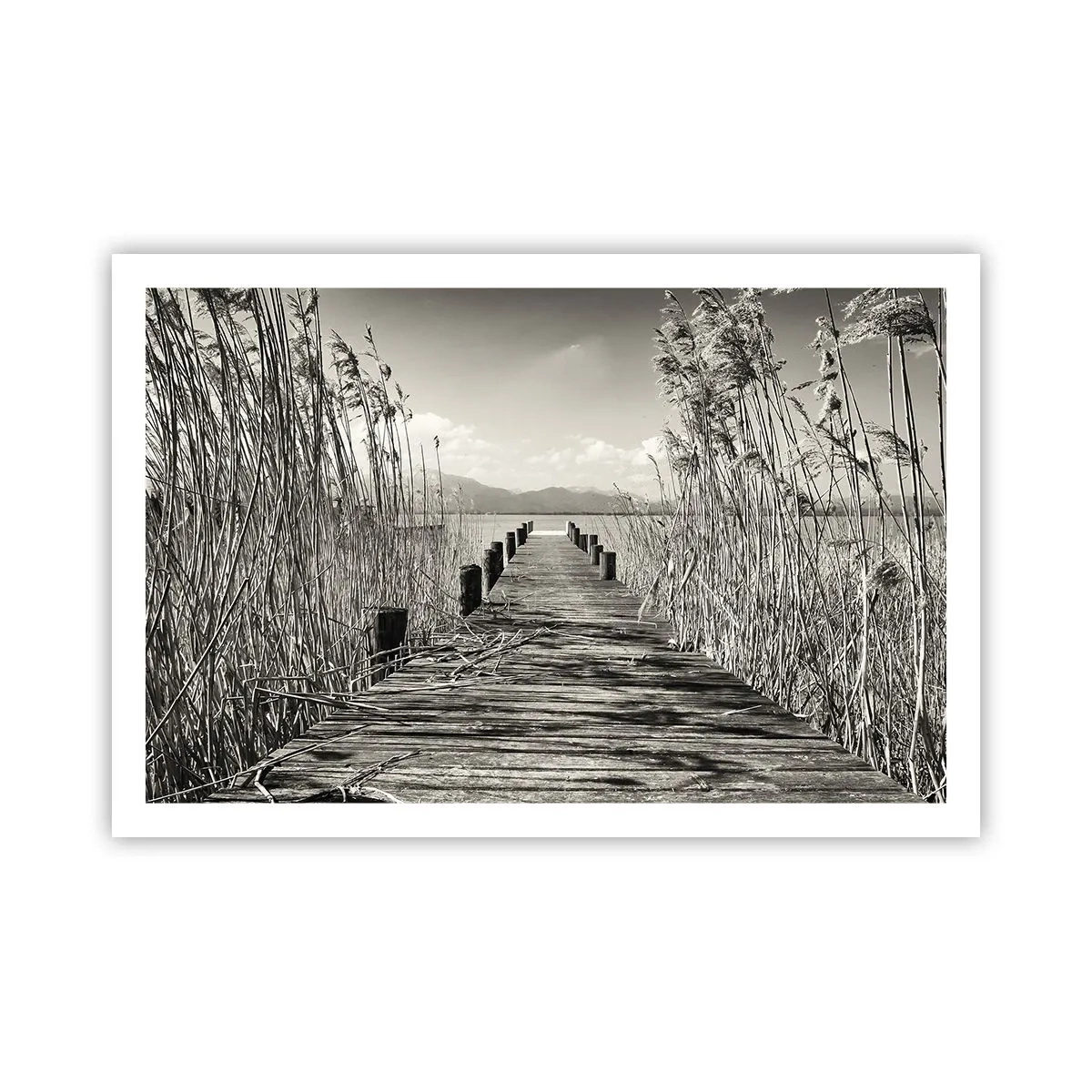 Affiche - Poster - Dans le calme de l'herbe - 91x61 cm