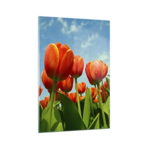 Impression sur verre - Image sur verre - Un champ de tulipes rouges et oranges contre un ciel bleu - 70x100cm - A part le ciel bleu, ils n'ont besoin de rien dans leur vie - Décoration murale moderne pour le salon et la chambre ARTTOR