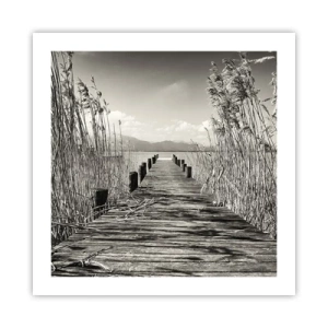 Affiche - Poster - Dans le calme de l'herbe - 50x50 cm