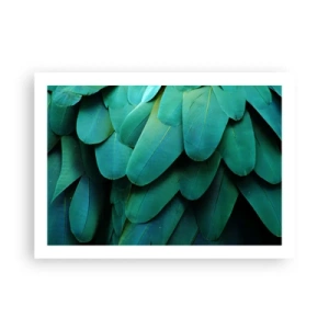 Affiche - Poster - Perfection de la nature du perroquet - 70x50 cm