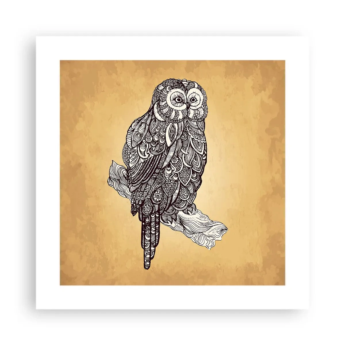 Affiche - Poster - Ornements complexes de sagesse - 40x40 cm