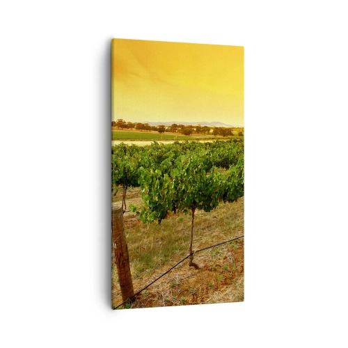 Impression sur toile - Image sur toile - S'abreuver du soleil - 55x100 cm