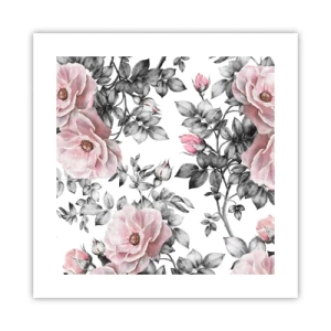 Affiche - Poster - Se perdre dans les fleurs des roses - 40x40 cm