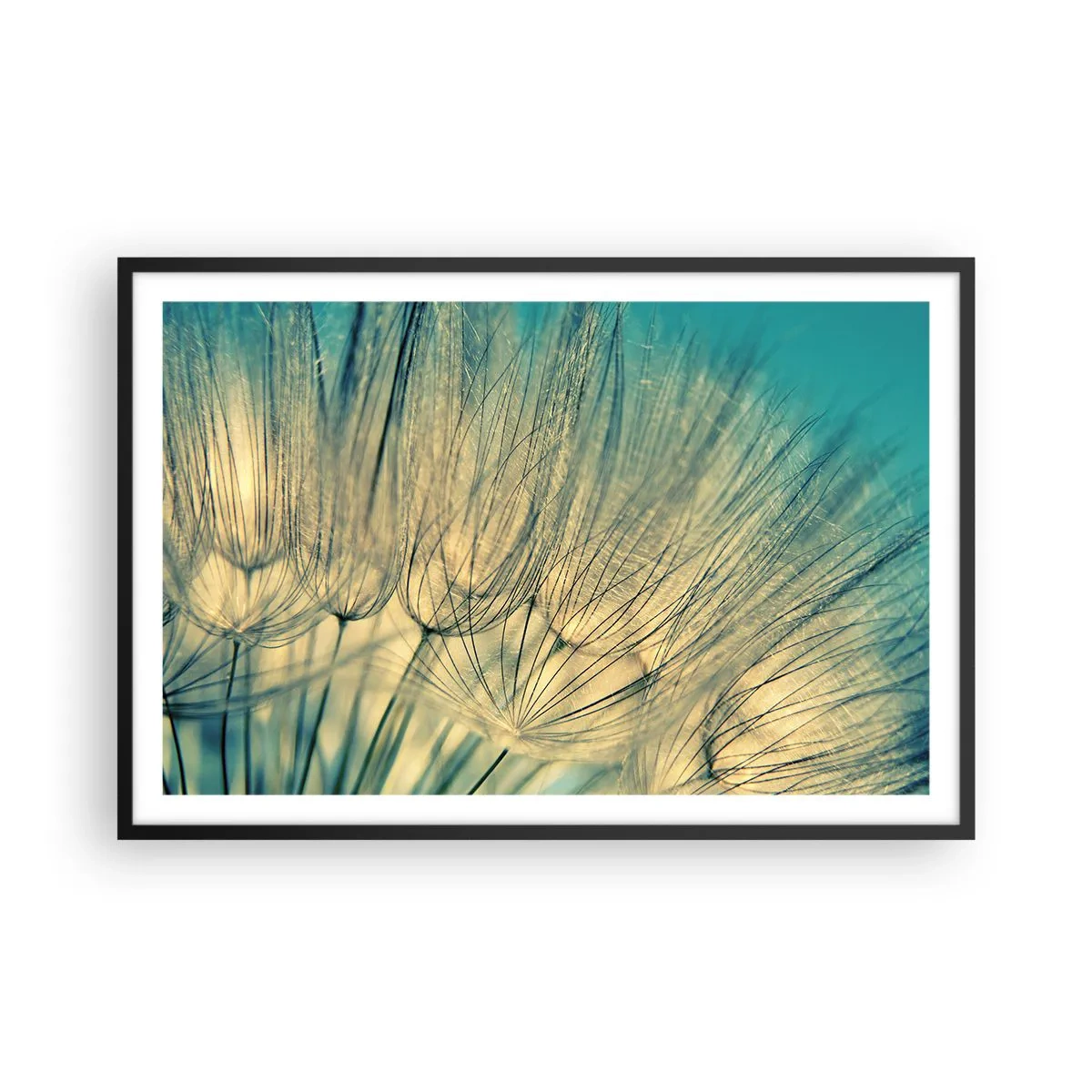 Affiche dans un cadre noir - Poster - En attente du vent - 91x61 cm