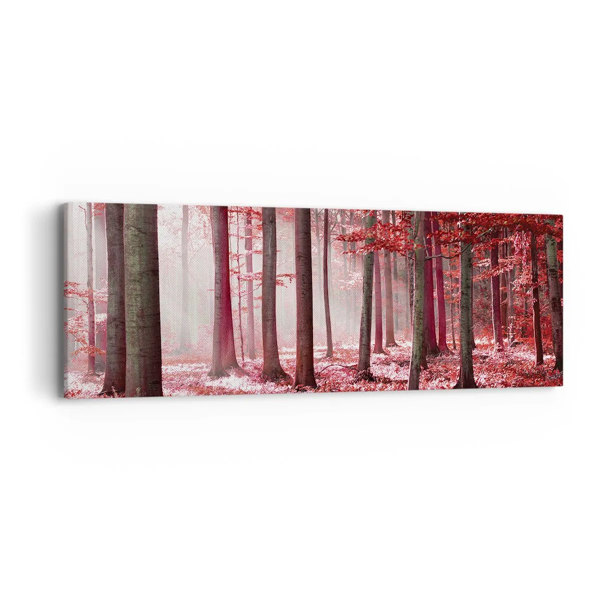 Impression sur toile - Image sur toile - Le rouge est tout aussi beau - 90x30 cm
