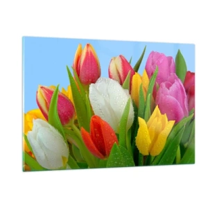 Impression sur verre - Image sur verre - Tulipes colorées couvertes de gouttes de rosée sur un fond bleu - 120x80cm - Un arc-en-ciel fleuri en gouttes de rosée - Décoration murale moderne pour le salon et la chambre ARTTOR