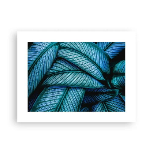 Affiche - Poster - Lignes de vie - 40x30 cm