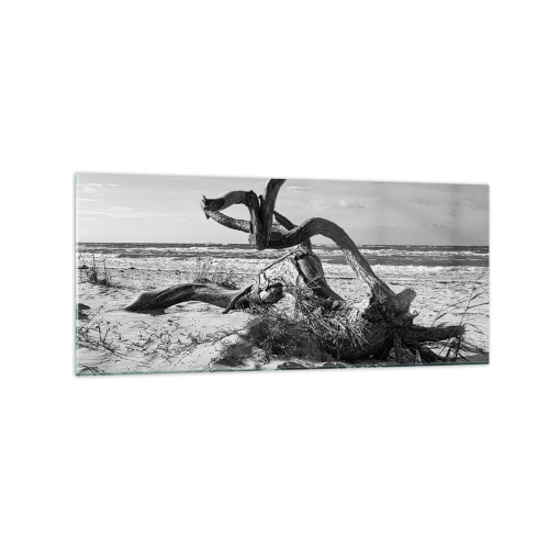 Impression sur verre - Image sur verre - Paysage noir et blanc avec un arbre mort sur la plage - 120x50cm - Sculpture marine - Décoration murale moderne pour le salon et la chambre ARTTOR