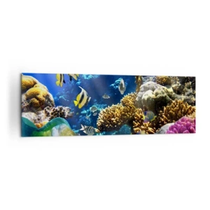 Impression sur toile - Image sur toile - Un récif corallien coloré avec des poissons tropicaux dans les profondeurs de l'océan. - 160x50cm - Beaucoup de circulation sur la route des vacances - Décoration murale moderne pour le salon et la chambre ARTTOR