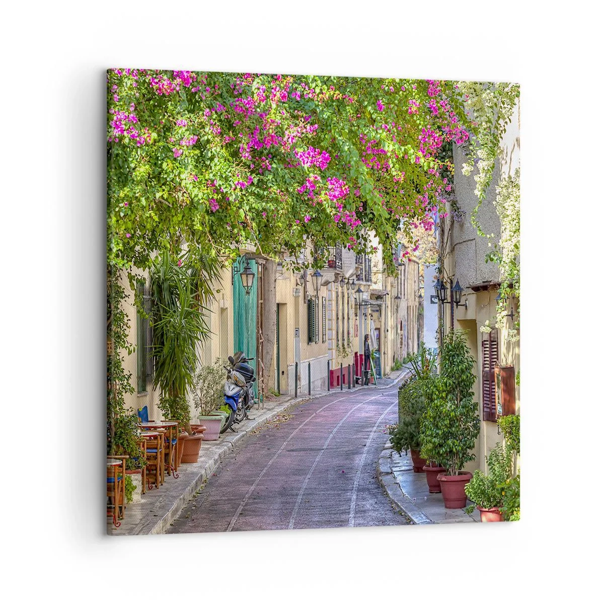 Impression sur toile - Image sur toile - Allée fleurie - 50x50 cm