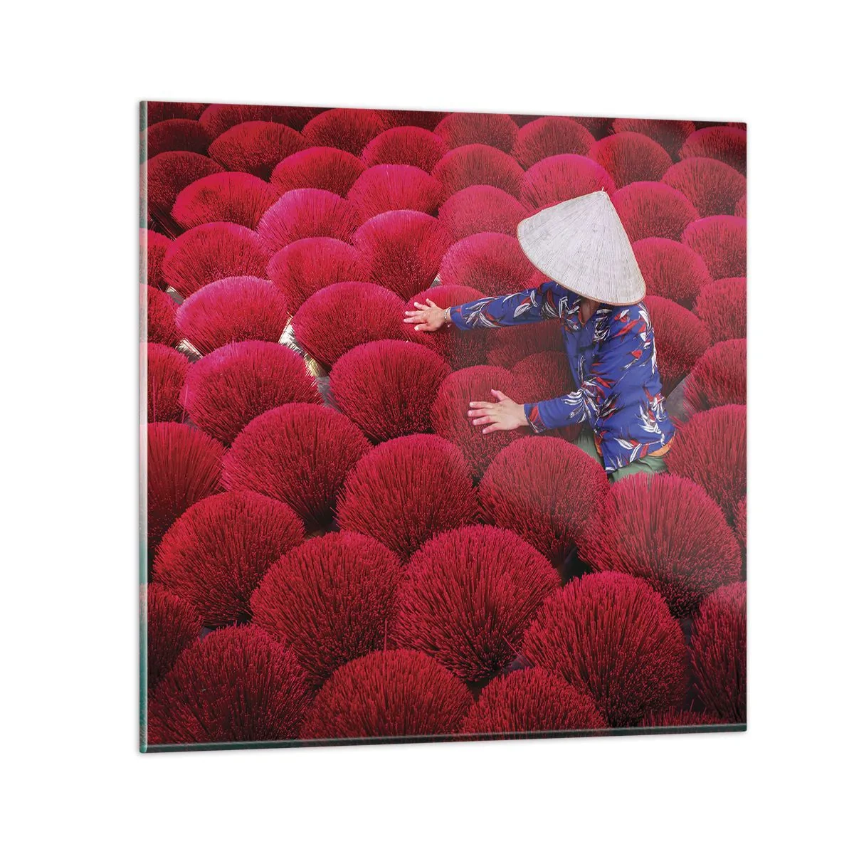 Impression sur verre - Image sur verre - Dans un champ de riz - 50x50 cm