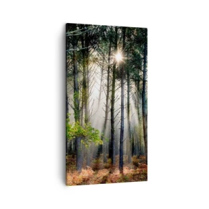 Impression sur toile - Image sur toile - Une zone forestière - 45x80 cm