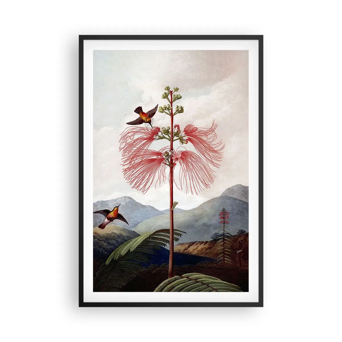 Affiche dans un cadre noir - Poster - Dans un paradis tropical - 61x91 cm