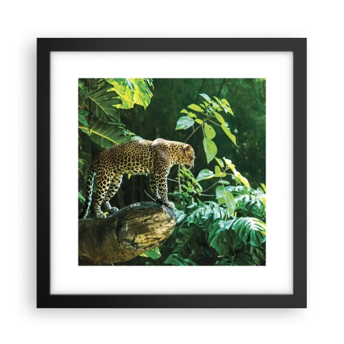 Affiche dans un cadre noir - Poster - À la chasse? - 30x30 cm