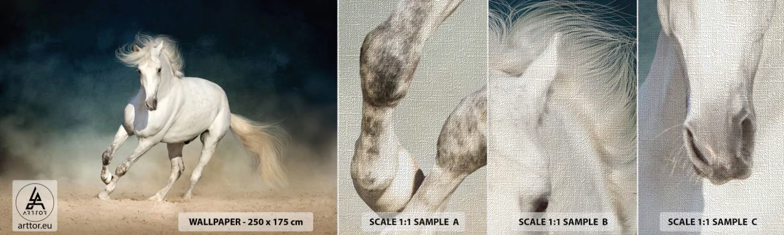 Échantillon de Papier Peint Premium Canvas - La liberté à l'état pur - Cheval, Animal, Blanc - 100x30 cm
