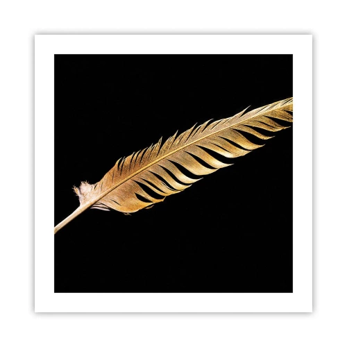 Affiche - Poster - Sans porte-plume - 50x50 cm