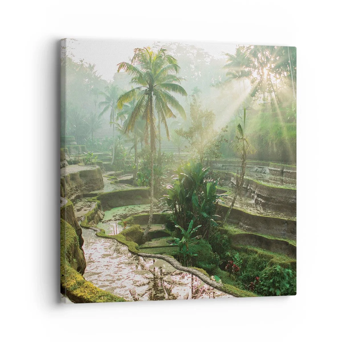 Impression sur toile - Image sur toile - Grandir au soleil - 30x30 cm