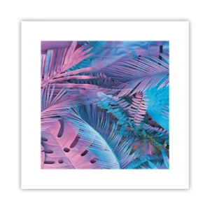 Affiche - Poster - Les tropiques en rose et bleu - 30x30 cm