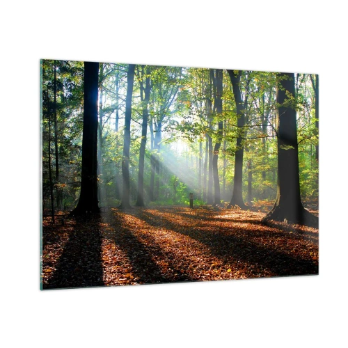 Impression sur verre - Image sur verre - Une forêt sous les rayons du soleil dans un paysage d'automne - 100x70cm - Ombres et lumières - Décoration murale moderne pour le salon et la chambre ARTTOR