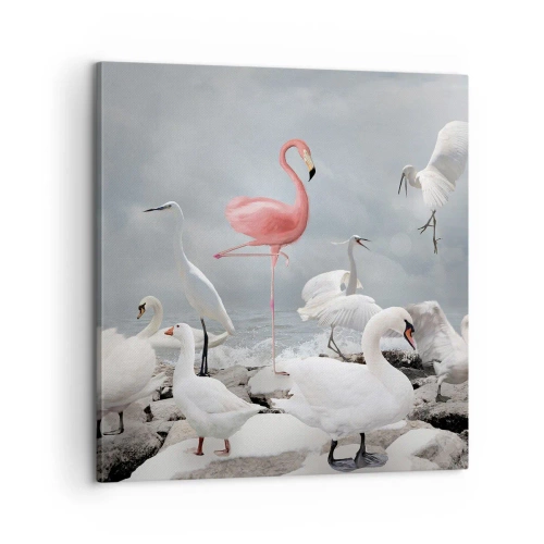 Impression sur toile - Image sur toile - Comment suis-je arrivé là? - 60x60 cm