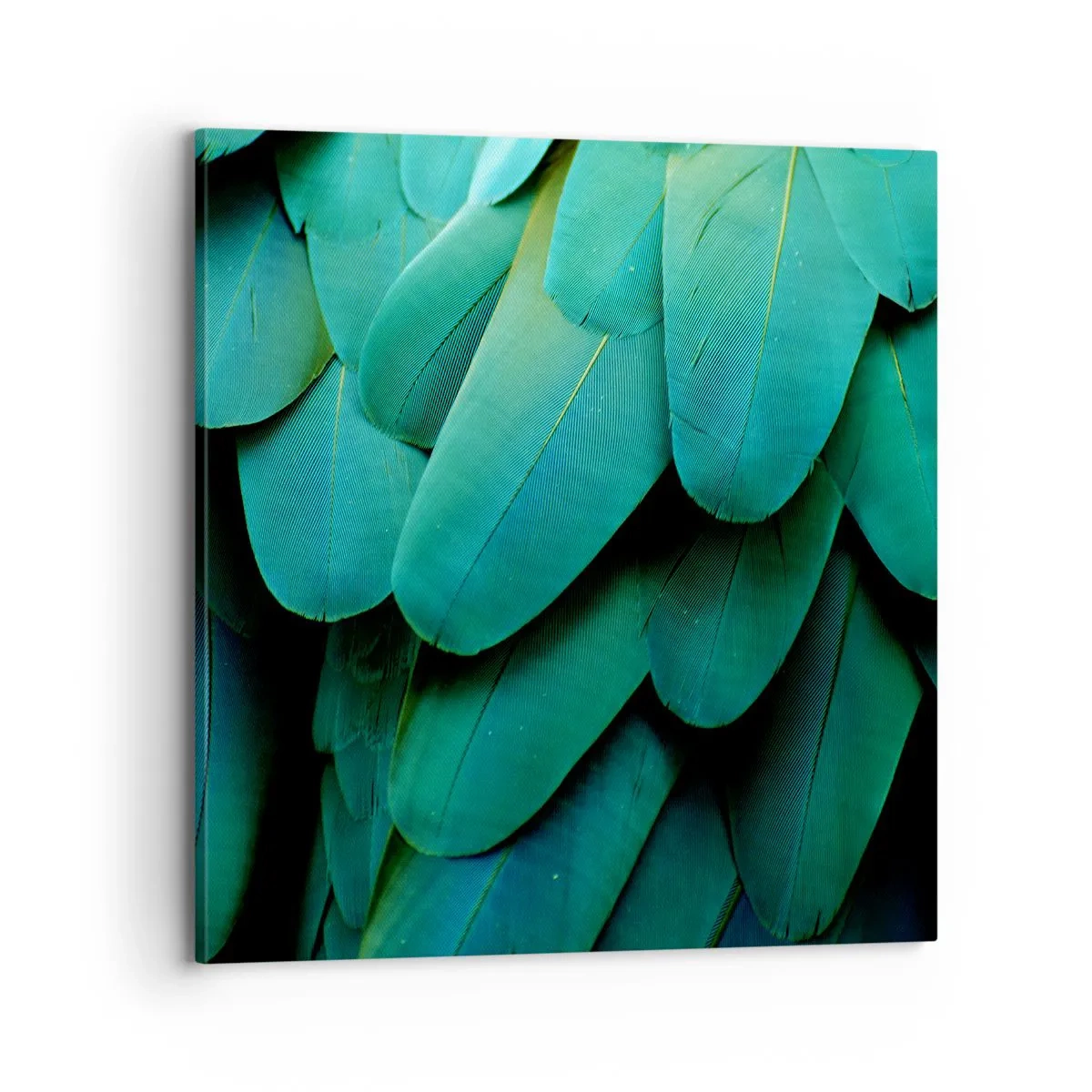 Impression sur toile - Image sur toile - Perfection de la nature du perroquet - 70x70 cm