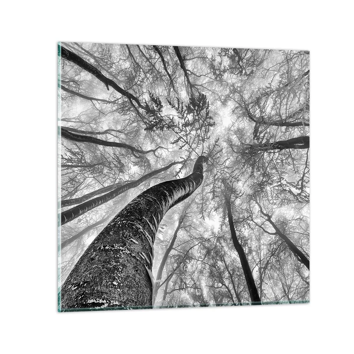 Impression sur verre - Image sur verre - Course vers la lumière - 30x30 cm