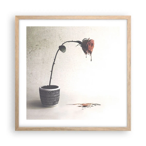 Affiche dans un chêne clair - Poster - Rosa dolorosa - 50x50 cm