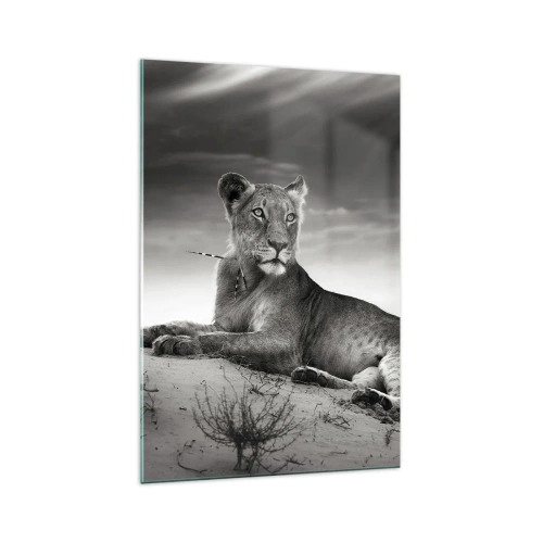 Impression sur verre - Image sur verre - Portrait noir et blanc d'une lionne dans la savane - 70x100cm - La reine du désert reste - Décoration murale moderne pour le salon et la chambre ARTTOR