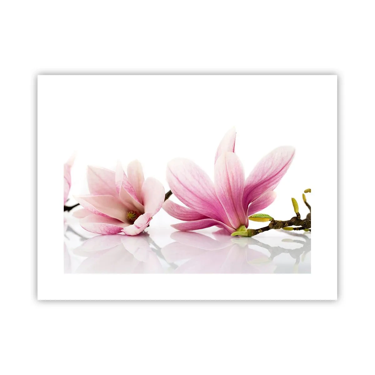 Affiche - Poster - Délicat comme une brise de printemps - 40x30 cm