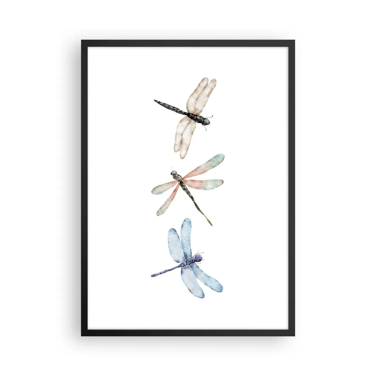 Affiche dans un cadre noir - Poster - Trois libellules peintes à l'aquarelle - 50x70cm - Libellules en apesanteur - Décoration murale moderne pour le salon et la chambre ARTTOR