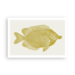 Affiche - Poster - Du poisson et c'est tout - 91x61 cm