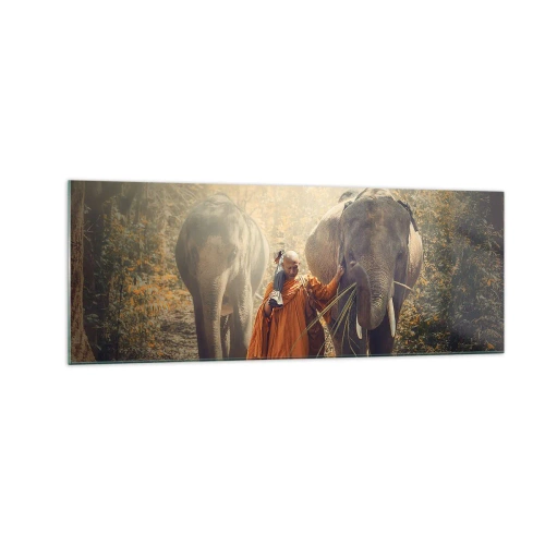 Impression sur verre - Image sur verre - Un moine en robe orange conduit un éléphant dans la forêt. - 140x50cm - Compréhension totale - Décoration murale moderne pour le salon et la chambre ARTTOR