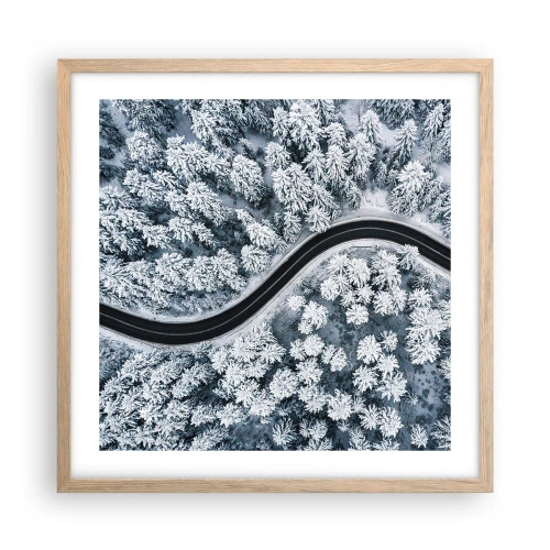 Affiche dans un chêne clair - Poster - À travers une forêt d'hiver - 50x50 cm