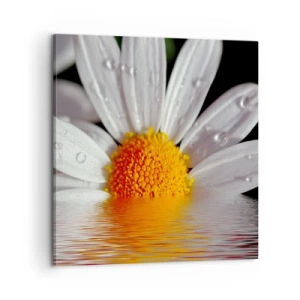 Impression sur toile - Image sur toile - Le soleil levant des marguerites - 60x60 cm