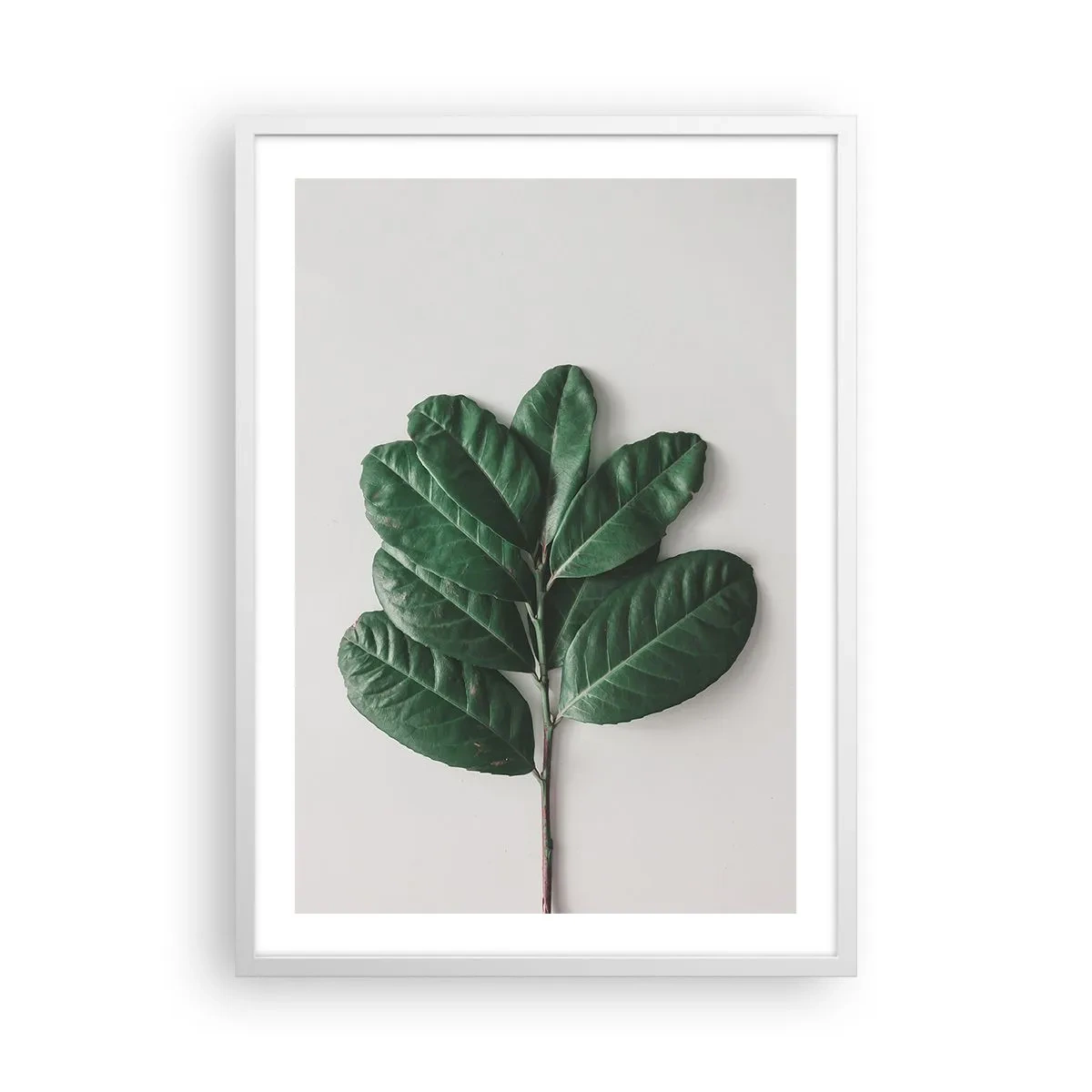 Affiche dans un cadre blanc - Poster - Dessin de la nature elle-même - 50x70 cm