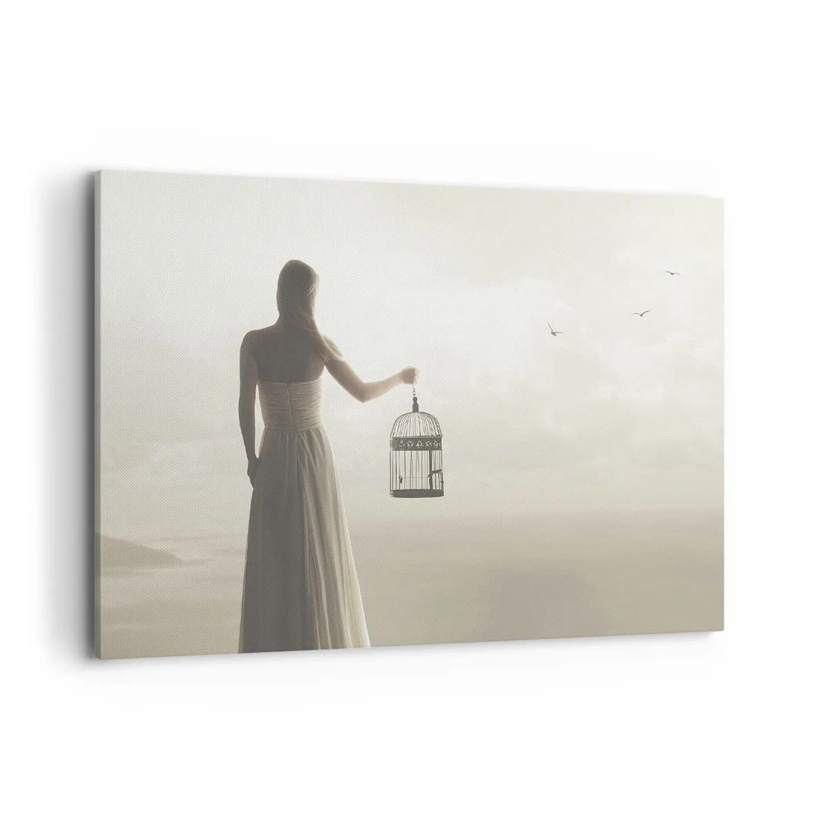 Impression sur toile - Image sur toile - Une femme avec une cage contre un ciel calme - 120x80cm - Soi libre - Décoration murale moderne pour le salon et la chambre ARTTOR