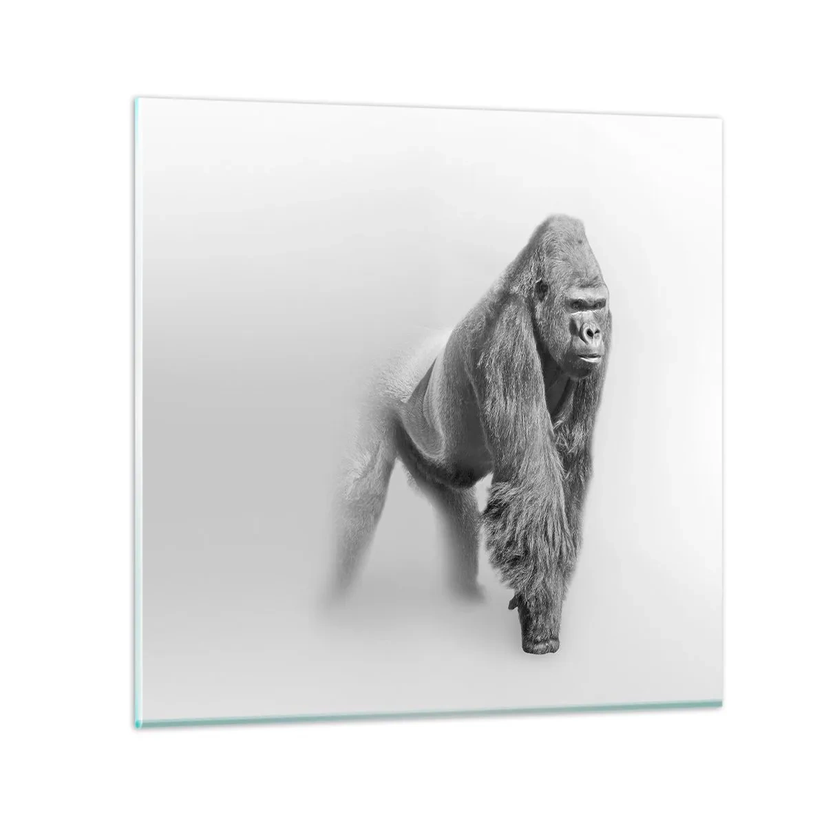 Impression sur verre - Image sur verre - Confiant en sa force - 60x60 cm