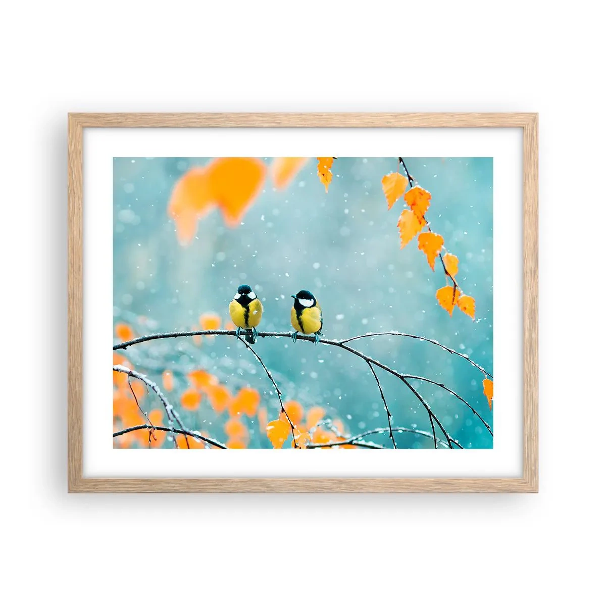 Affiche dans un chêne clair - Poster - Potins d'oiseaux - 50x40 cm