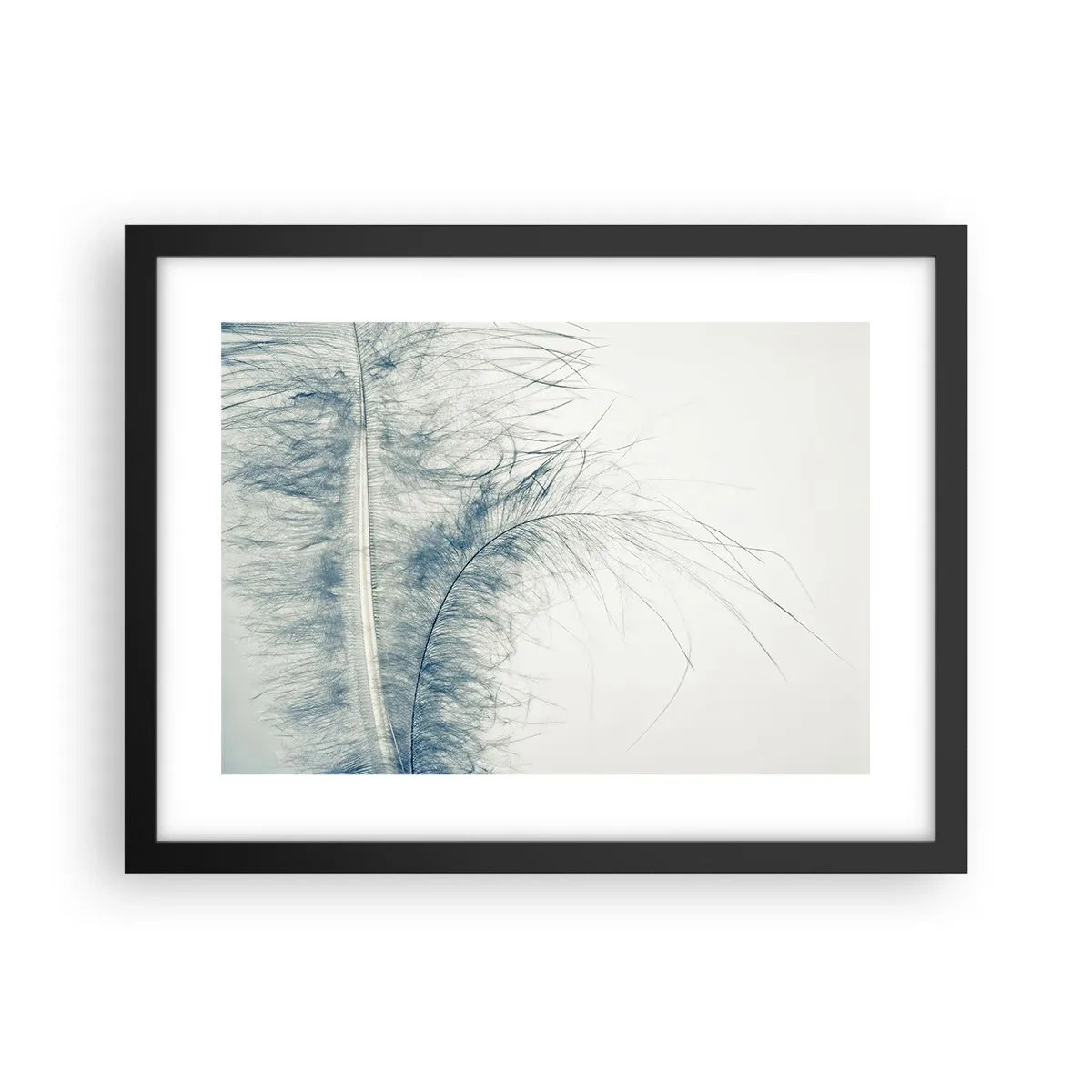 Affiche dans un cadre noir - Poster - Les sept natures - 40x30 cm