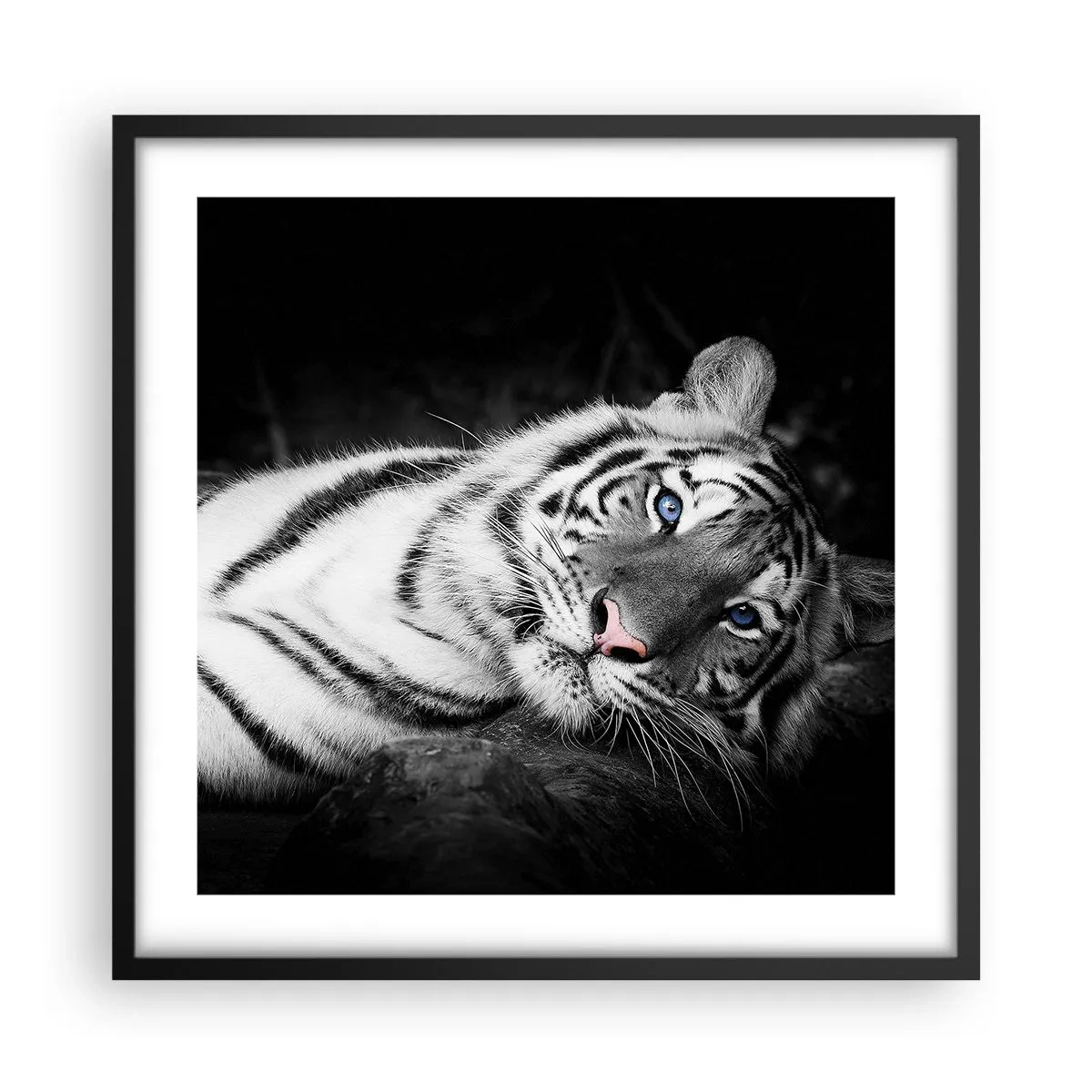 Affiche dans un cadre noir - Poster - Sauvagerie et paix - 50x50 cm