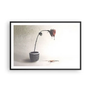 Affiche dans un cadre noir - Poster - Rosa dolorosa - 91x61 cm