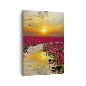 Impression sur toile - Image sur toile - Un champ de nénuphars roses au coucher du soleil - 50x70cm - La vie secrète du lac - Décoration murale moderne pour le salon et la chambre ARTTOR