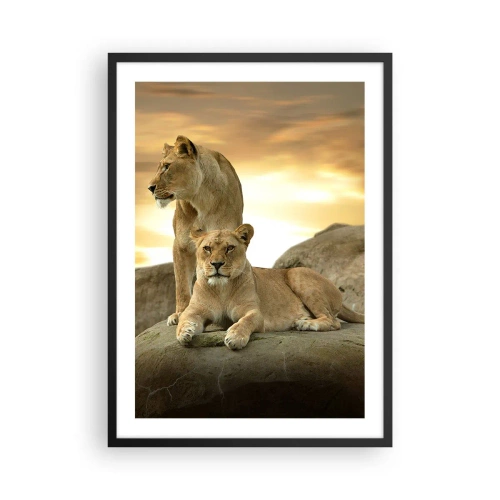 Affiche dans un cadre noir - Poster - Deux lionnes contre le soleil couchant - 50x70cm - Majesté royale - Décoration murale moderne pour le salon et la chambre ARTTOR