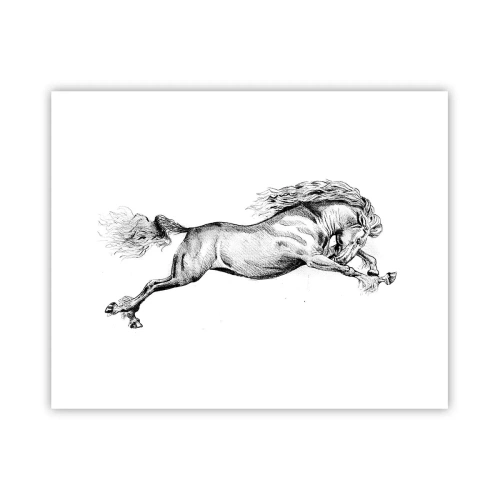 Affiche - Poster - Immortalisé au galop - 50x40 cm