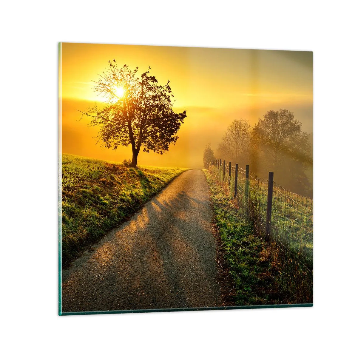 Impression sur verre - Image sur verre - Après-midi de miel - 60x60 cm